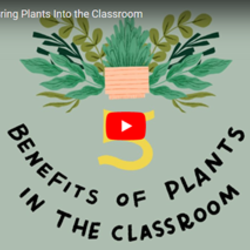 The benefits of plants in the classroom